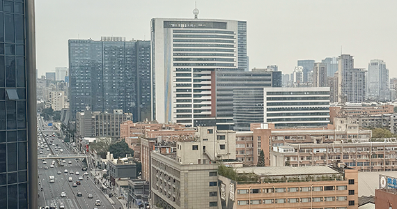 蜜my.1688 com域名查询